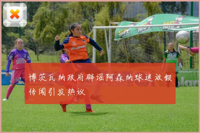 博茨瓦纳政府辟谣阿森纳球迷放假传闻引发热议