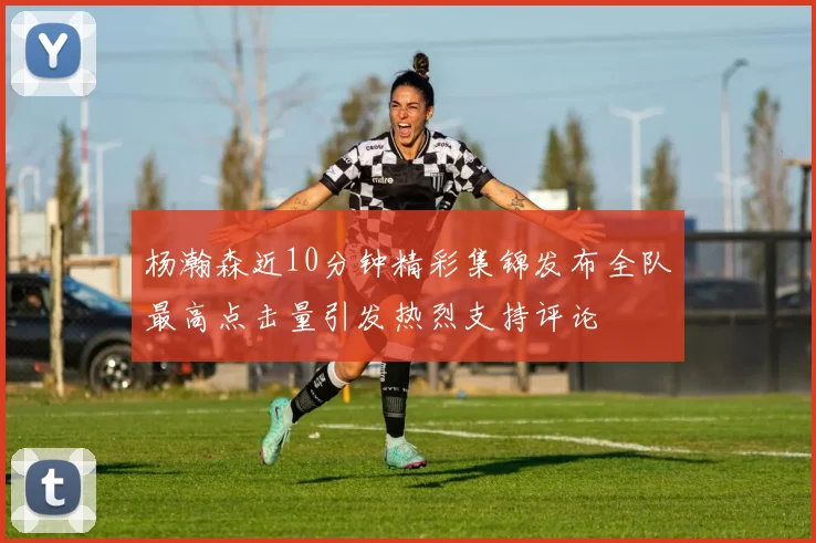杨瀚森近10分钟精彩集锦发布全队最高点击量引发热烈支持评论
